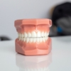 「歯生え薬」という希望に満ちた新技術