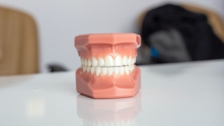 「歯生え薬」という希望に満ちた新技術