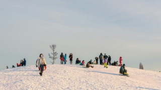 雪上ソリで遊んで身体を動かしてきました