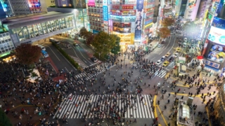 東京都23区を震源とした地震の珍しさよりも、その珍しさを話題にする人の多さに興味を惹かれ