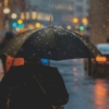 かなりの早さで梅雨が明け、雨が降らないのかと思ったら豪雨は降るという