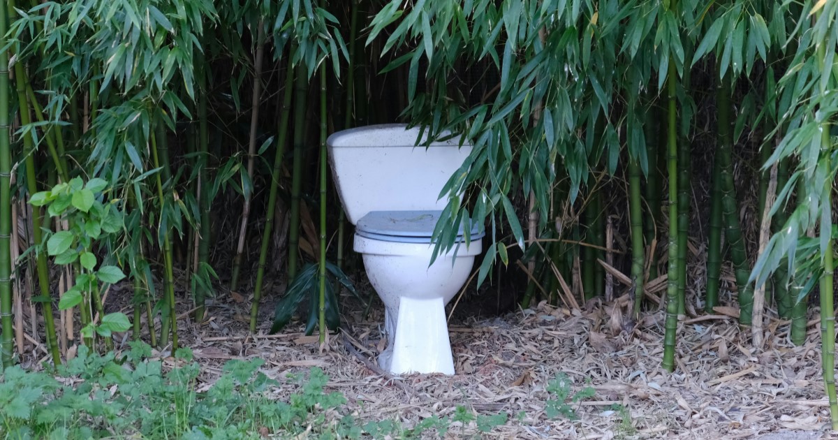 地震が話題になるたびに備えを見直すという好ルーティーン