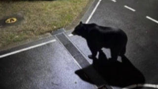 画像生成AIによるフェイク画像が騒動に繋がった事例を見て思う