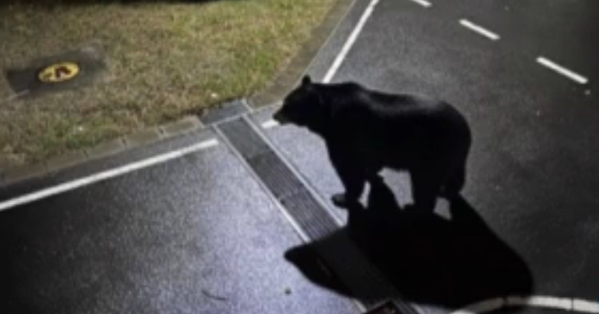 画像生成AIによるフェイク画像が騒動に繋がった事例を見て思う