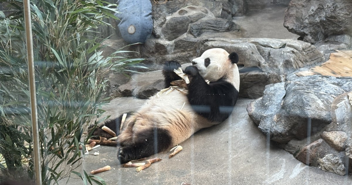 【中国旅行記⑤】やはり海外旅行は良いものです