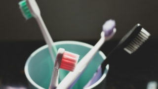 無骨で硬派な歯ブラシを使い始めて、歯の汚れがバンバン取れるような気がする昨今