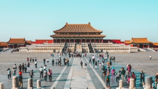 航空機減便は痛手なのか好機なのか