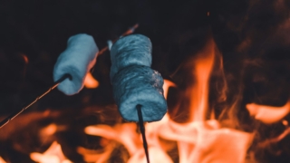 冬休み期間はゆったりと過ごすことになるでしょう