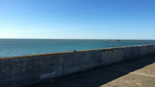 後発地震注意情報が発表され、しばらくは心構えをしておく方がいいようです