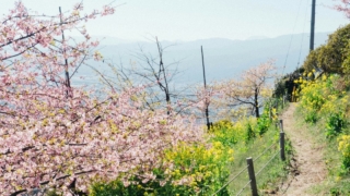 マラソン（ランニング）のシーズンオフという概念について