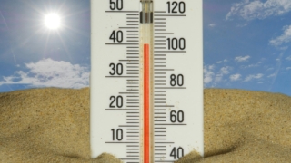 エルニーニョ現象によって今年の夏の猛暑や大雨がほぼ確定していることを知り、多少憂鬱になる昨今