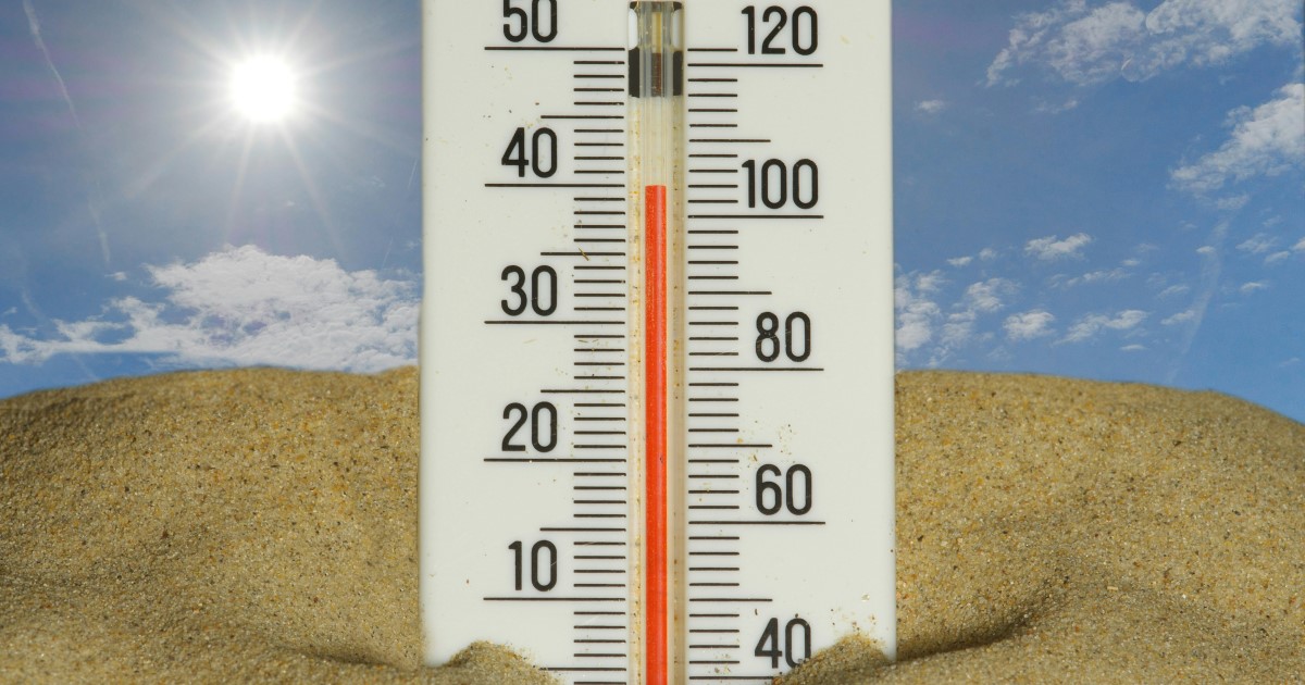 エルニーニョ現象によって今年の夏の猛暑や大雨がほぼ確定していることを知り、多少憂鬱になる昨今