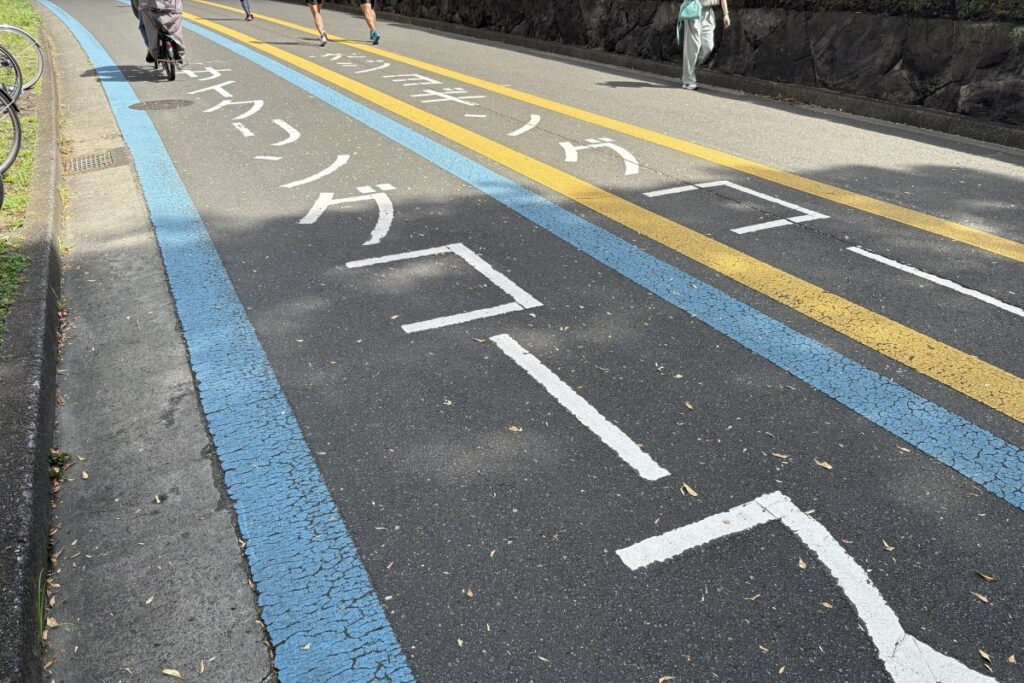 整備されたコース