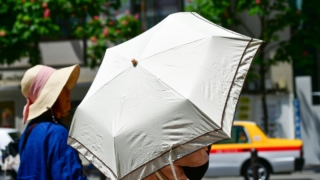 日光が照りつける外の暑い中を歩く際の必須ツールと言えば…そう、日傘です
